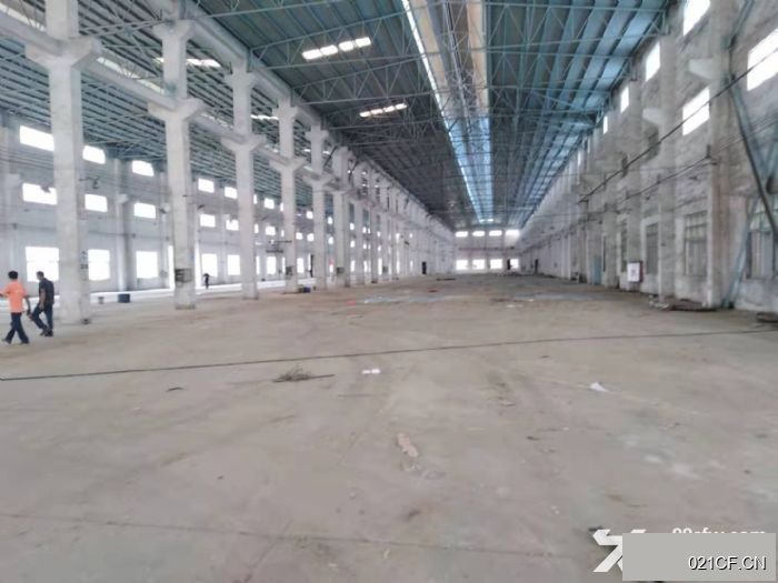 江门台山台城工业区台城工业园台城工业园有环评有排污的标5000㎡独门独院单层大车进出厂房出租
