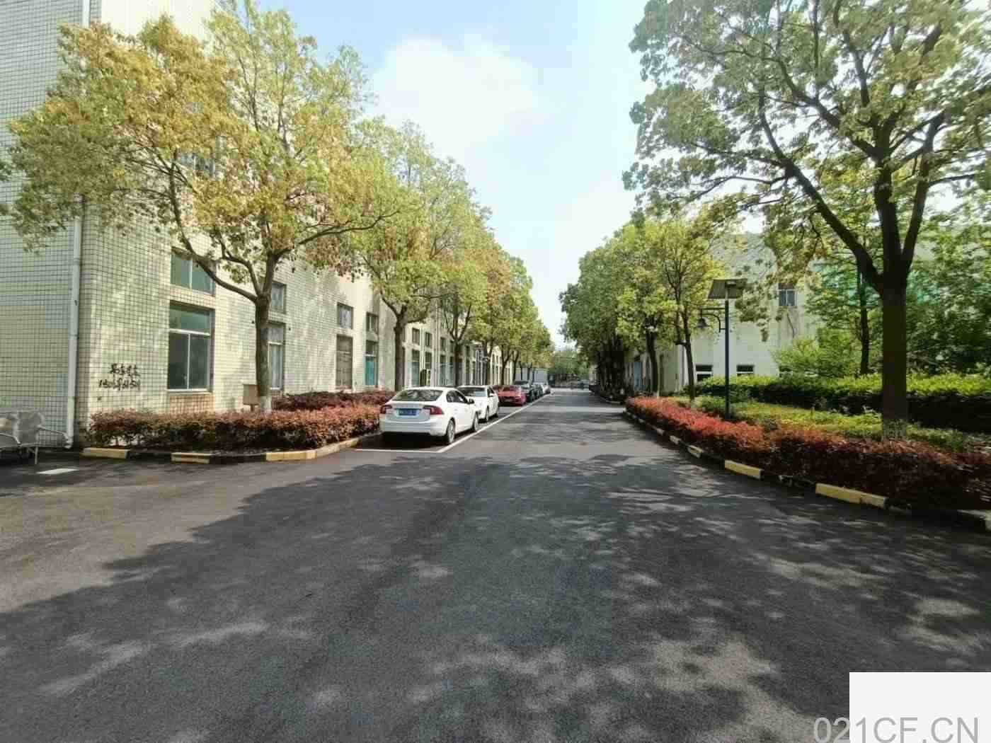 上海闵行 梅陇景联路一楼400平厂房出租，首层5.5米层高
