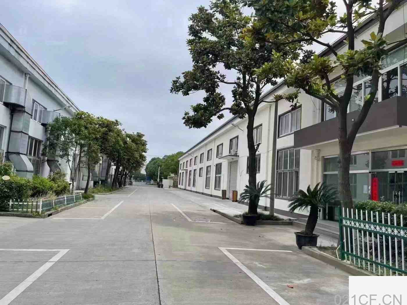 上海闵行 梅陇国企园区，双柏路独栋单层1880平厂房出租，首层7米层高