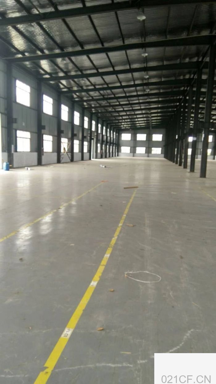 工业园上海浦东桥东路12000㎡ 康桥厂房出租，首层11米层高