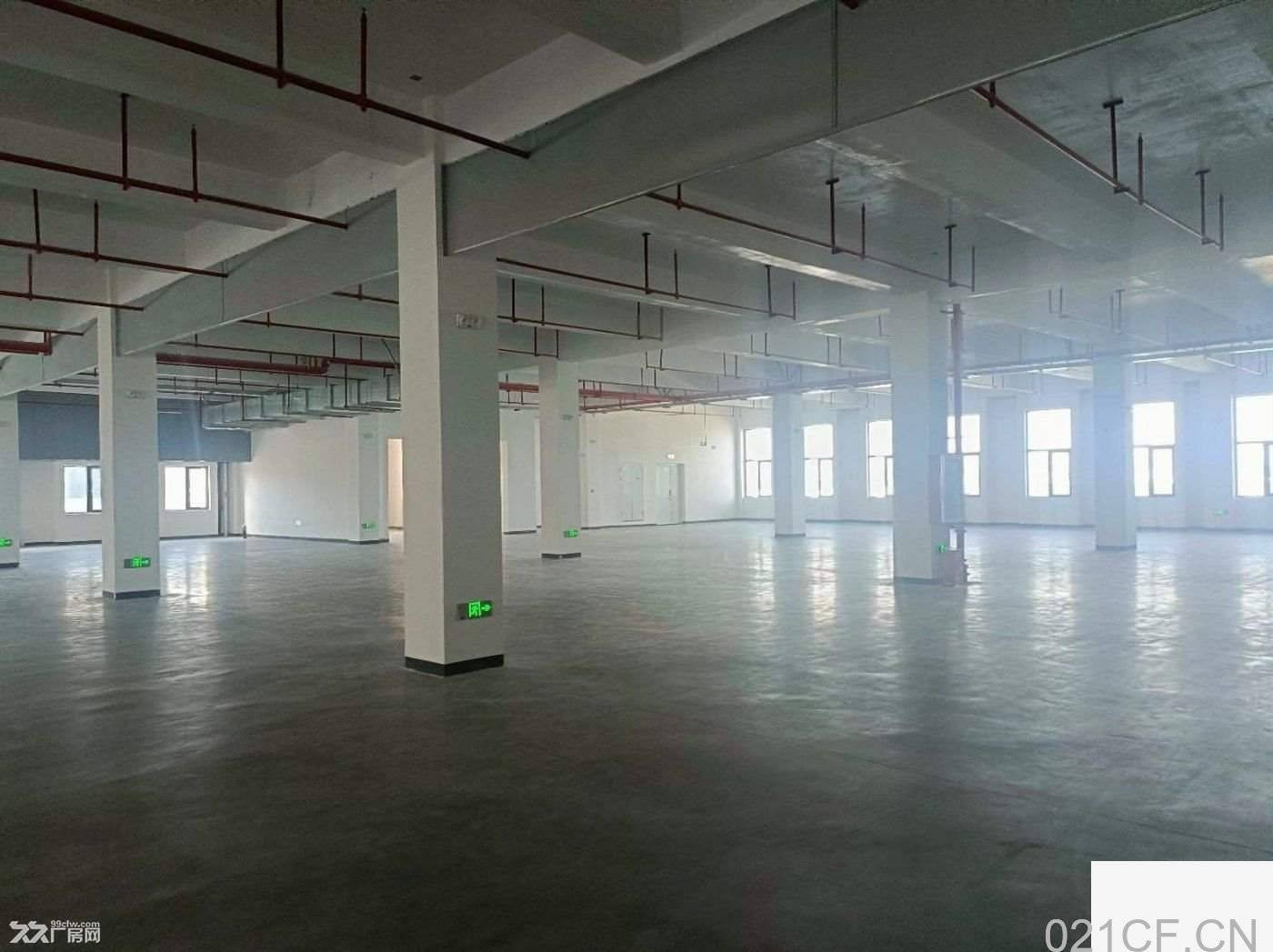 高新区珠海香洲高新区高标准厂房，全新厂房，享有长免租期，面积可分厂房出租，首层5.5米层高