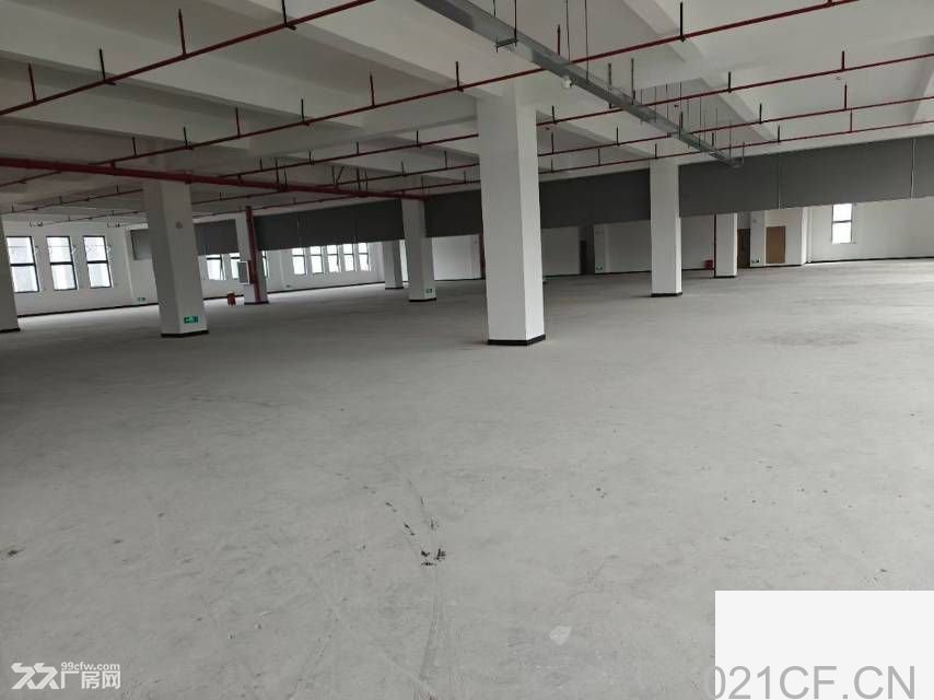 高新区珠海香洲高新区医药园厂房免租期长达1年无公摊40吨货柜可上楼厂房出租，首层10米层高