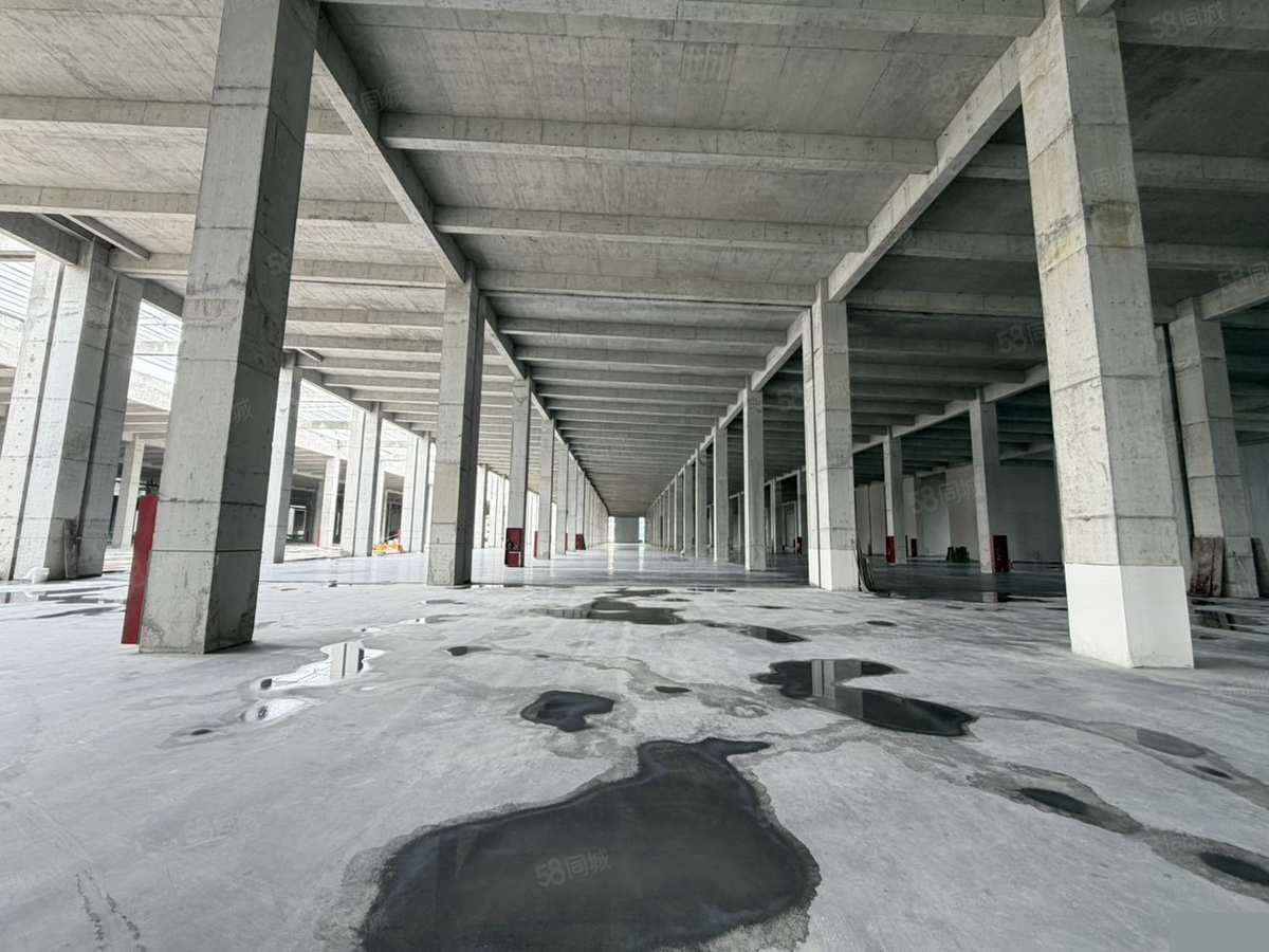 上海独栋8w方单层面积4w方可分割 层高11米 无地下室80000平厂房出租，首层11米层高