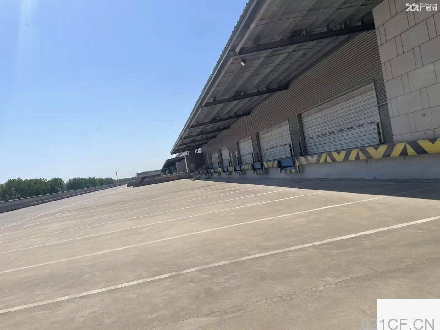 上海金山 金山亭林高标仓库出租26000平防尘地坪双边卸货全单层 仓库出租厂房出租，首层11米层高