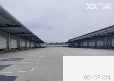 上海金山 金山枫泾高标仓库出租4000平到21万平丙二类消防月台库 仓库出租厂房出租,首层10米层高