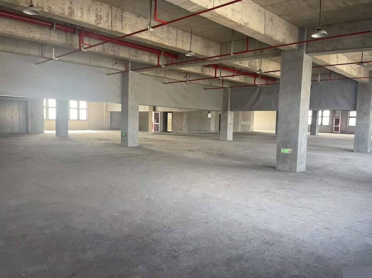 宁波整租1300平厂房出租,地铁直达