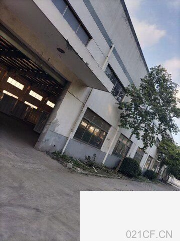 上海3382㎡ 太仓独院单层厂房出租，首层8.8米层高