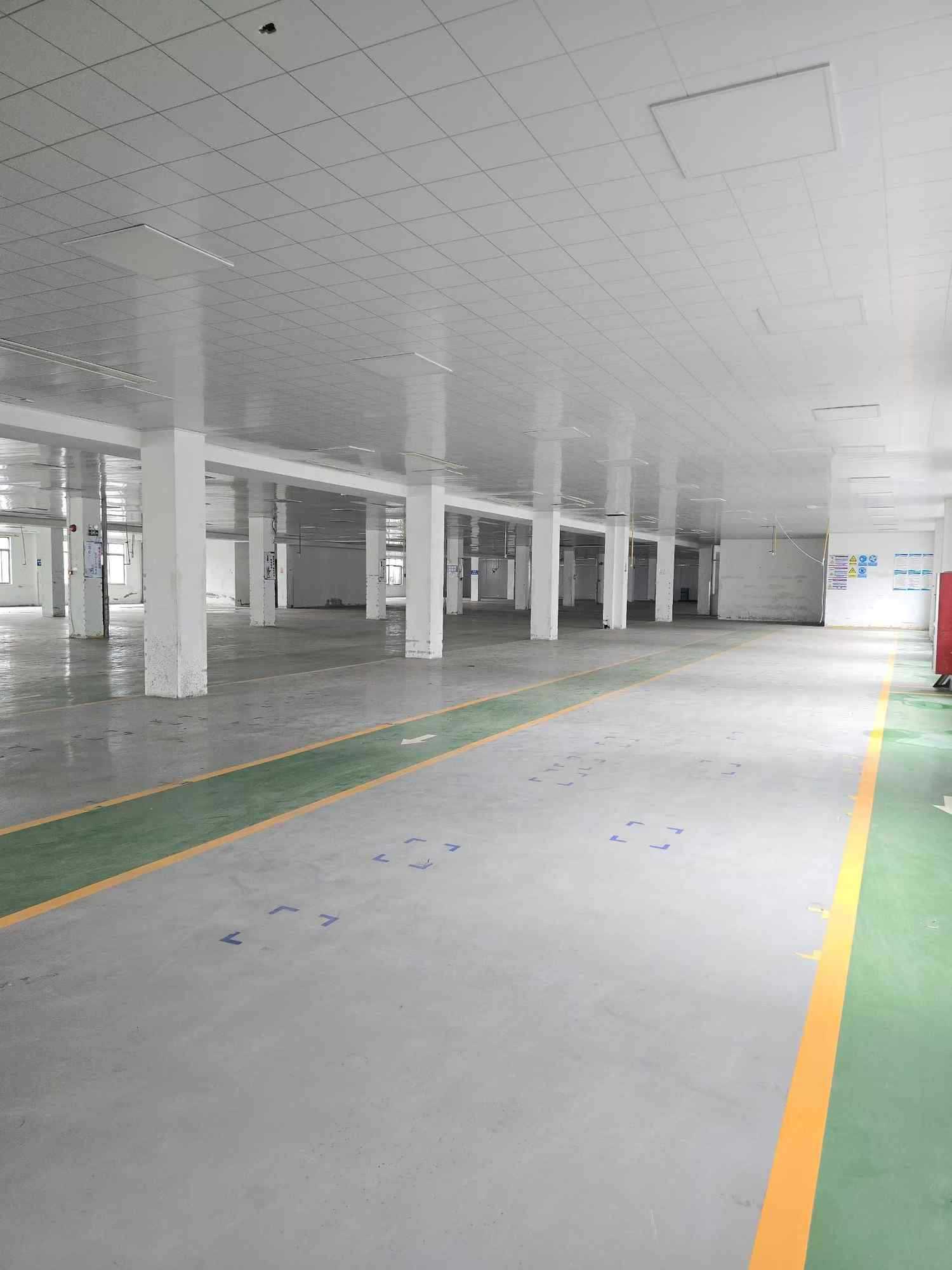 宁波庵东厂房实景