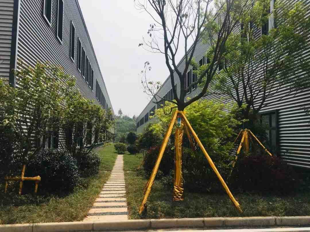 温州急租新城二楼1000平方，170平方，已腾空龙港厂房出租，配套完善