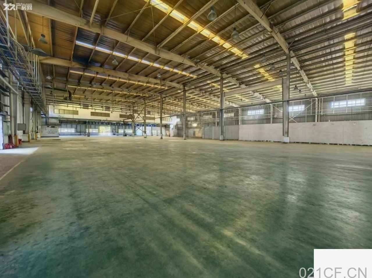 广州黄埔 独门独院单一层厂房出租，首层8米层高