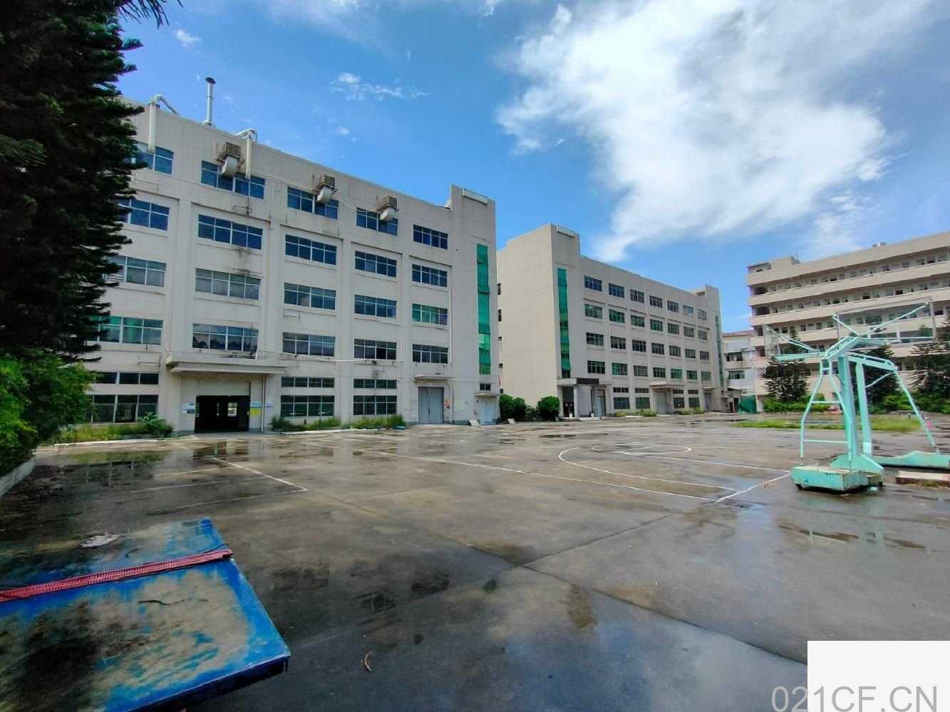 深圳龙岗 东莞凤岗金凤凰原房东实际面积出租！8500平-深圳平湖厂房出租，首层5米层高