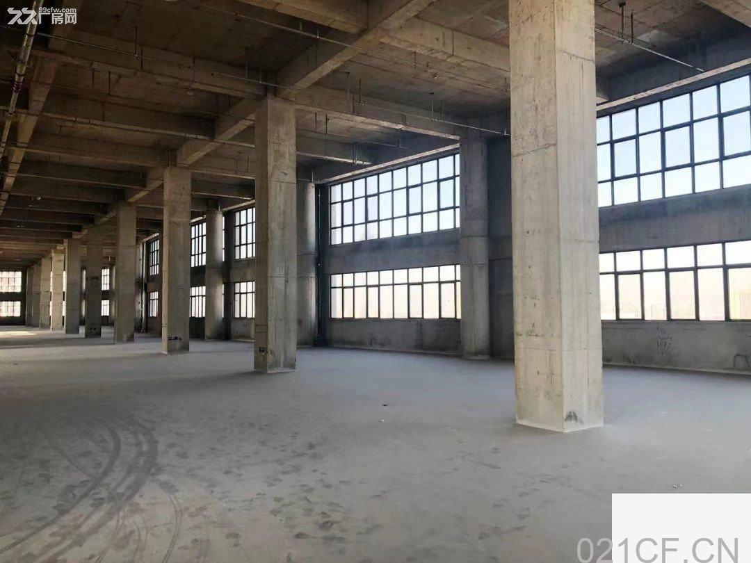 滨江杭州6000㎡ 零磁医疗谷,江南科技城厂房出租,首层10米层高