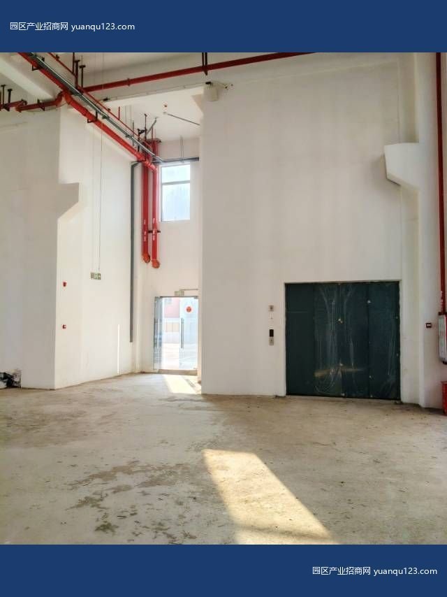 新区中山 翠亨新区马鞍岛深中通道出口附近原房东新建高标厂房-南朗厂房出租，首层7.8米层高