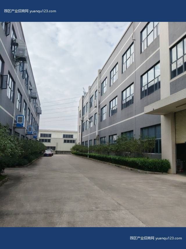 新区中山 翠亨新区南朗国道旁原房东精装厂房-南朗厂房出租，首层4.5米层高