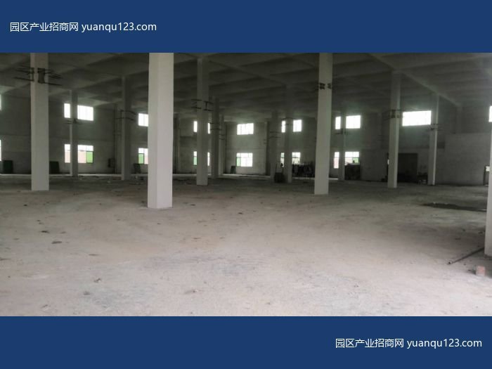 江门 开平三类工业用地框架结构厂房1800平方招租-厂房出租，首层8米层高