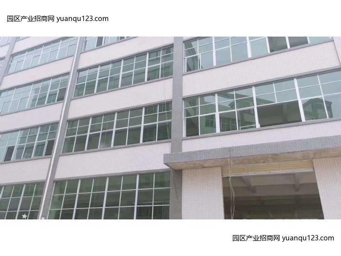 新区深圳龙华 东莞凤岗镇全新大型独门独院厂房出租，首层6米层高