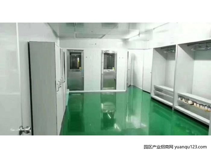 深圳 宝安石岩新出医疗级别无尘车间2200平，精装修，带红本，交通便利-深圳宝安石岩厂房出租，首层4