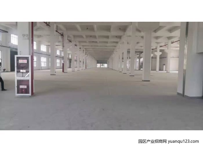 苏州 AA苏虹西路独门独院10000标准厂房 可分租-园区湖西厂房出租，首层10米层高