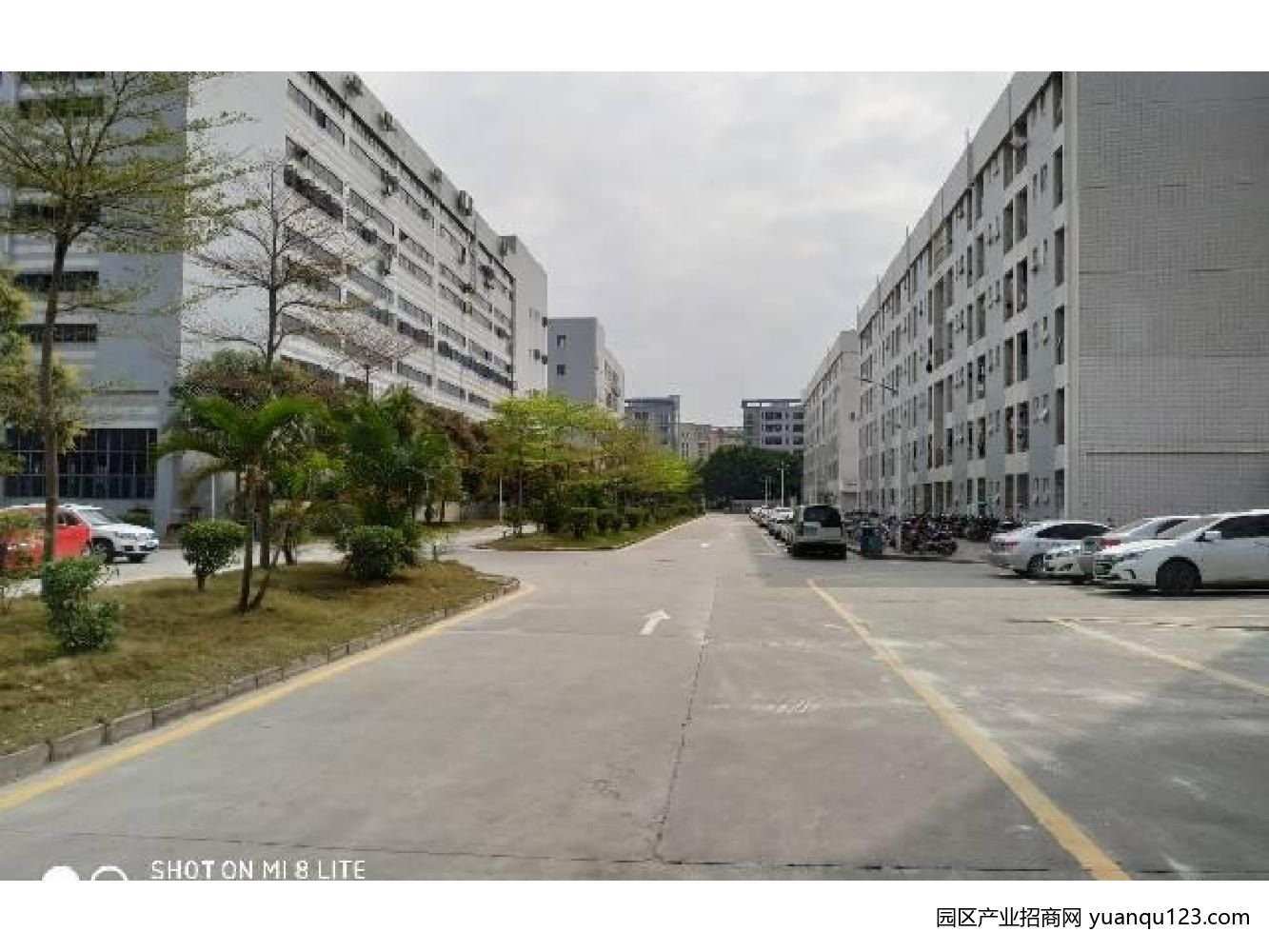 深圳宝安周边路福永塘尾新出1-3层8100带装修厂房-深圳福永厂房出租，首层5米层高