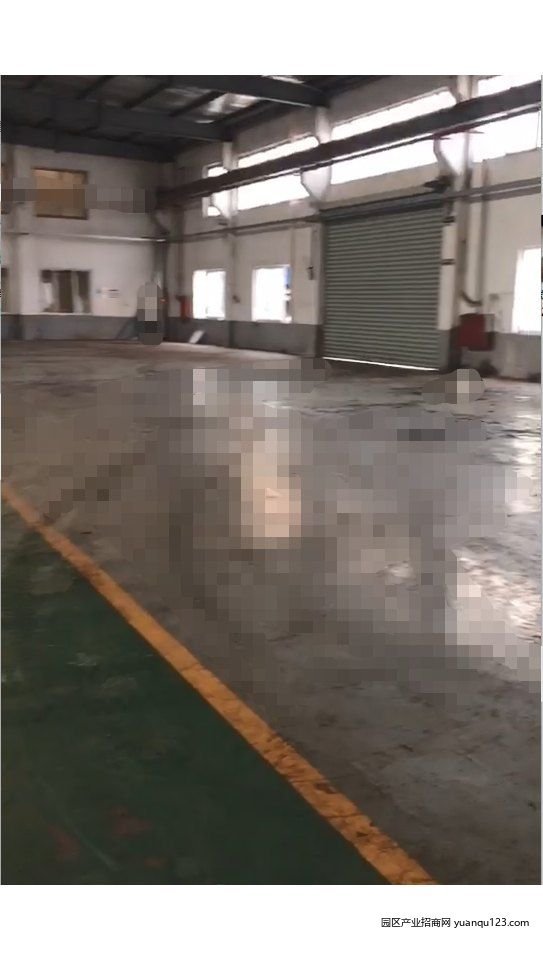苏州1500㎡ 出租太仓单层厂房800或1500平方-厂房出租，首层9.6米层高