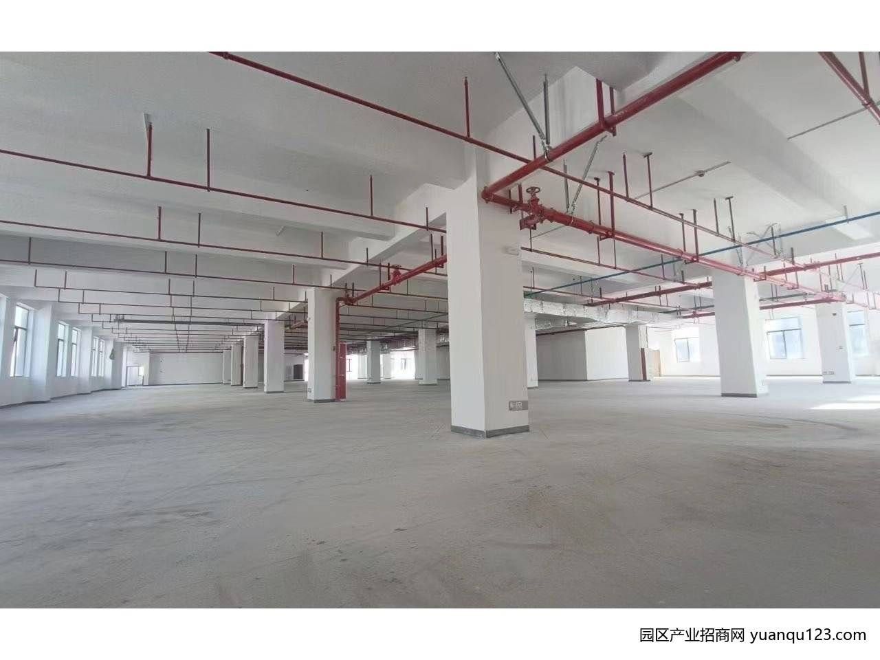 新区深圳龙华 上市公司形象，30万平全新厂房单价6元租-新区厂房出租，首层6米层高