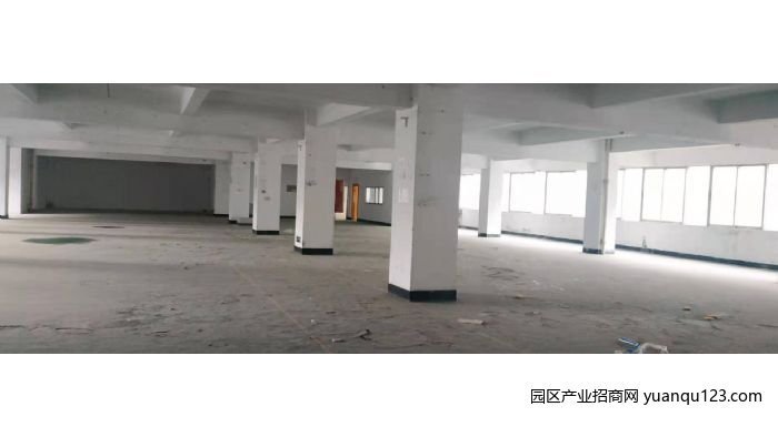 珠海香洲周边路 前山厂房可做写字楼、厂房、仓库-香洲上冲/前山厂房出租，首层4米层高